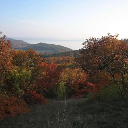 In Casa Ciliegia 블로톤퓌레드