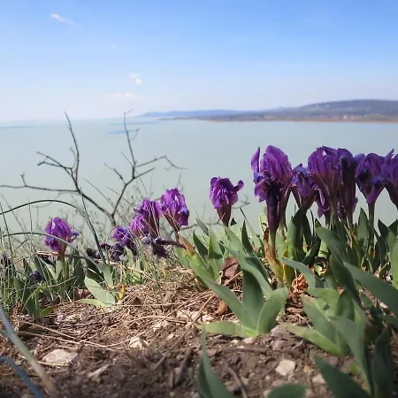 In Casa Ciliegia * Balatonfured